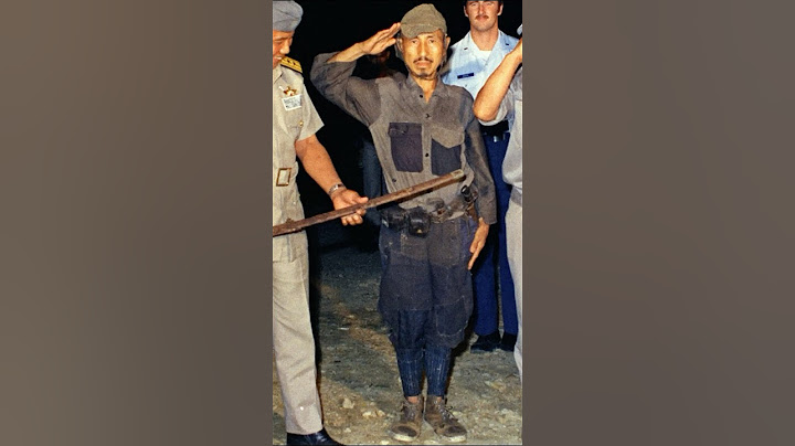 The last Japanese soldier to surrender in WW2