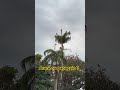 Aquela dúvida que todo mundo tem