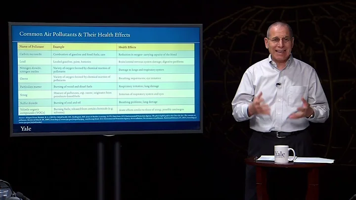The Environment and Health | Essentials of Global Health with Richard Skolnik