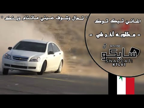 تعال وشوف عيني ماتنام وينك اغاني تيك توك مطلوبه آخر شي