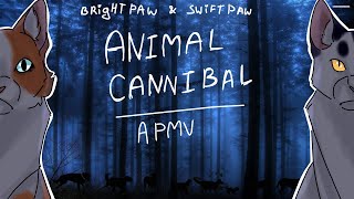 Animal Cannibal - Brightpaw & Swiftpaw | Warrior Cats | APMV meme | • Blood , Core , Dead •