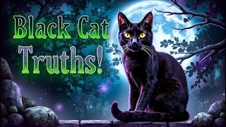 10 Astonishing Facts About Black Cats That Will Leave You Speechless