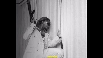 ASAKE - TERMINATOR ( OFFICIAL AUDIO)