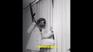 ASAKE - TERMINATOR (  AUDIO)