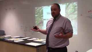 Unit 4 - Surface Processes Part 1