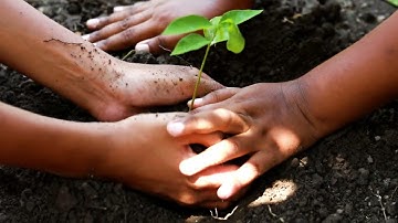 Rethink green [Schaeﬄer]