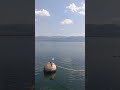 flight of a seagull.. #sea #fly #seagull
