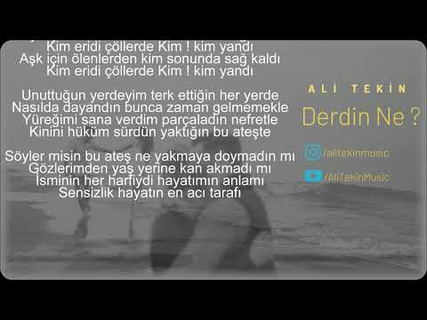 Ali Tekin - Derdin Ne ? ( Lyrics Video )