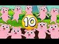 Ten Little Piggies | Kindergarten Nursery Rhymes For Kids