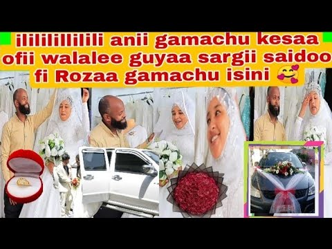 Mashalaa Gamachu Dangaa Darbee Saidoo Fi Rozaa Lubu Ko Na Basanii Haraa