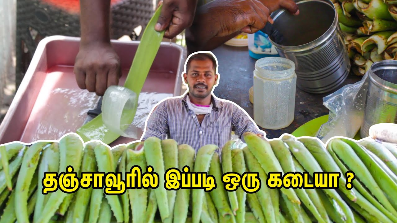 தஞ்சாவூர் அசத்தும் கற்றாழை ஜூஸ் கடை | Aloe vera juice - Unique & Healthy Street Food |Food Thanjavur | South Indian Food
