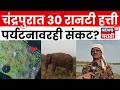 Chandrapur News | चंद्रपुरात 30 रानटी हत्तींची एन्ट्री, वनविभाग अलर्ट, पर्यटनावरही संकट? | N18V