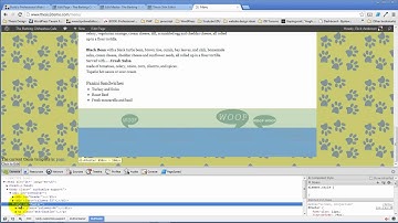 Thesis 2.0 Launch Party Part 8 - Style the Backgrounds