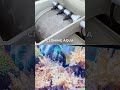Fish tank 🐬#aquarium 🐟#fishtank #fish #guppy #betafish #fishaquarium #beta