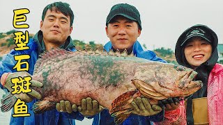 趕海幾天沒收穫，小麥出馬找到巨型石斑魚，比男人腰都粗！ 【漁家小麥】