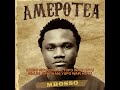 AMEPOTEA LYRICAL VIDEO BY MBOSSO