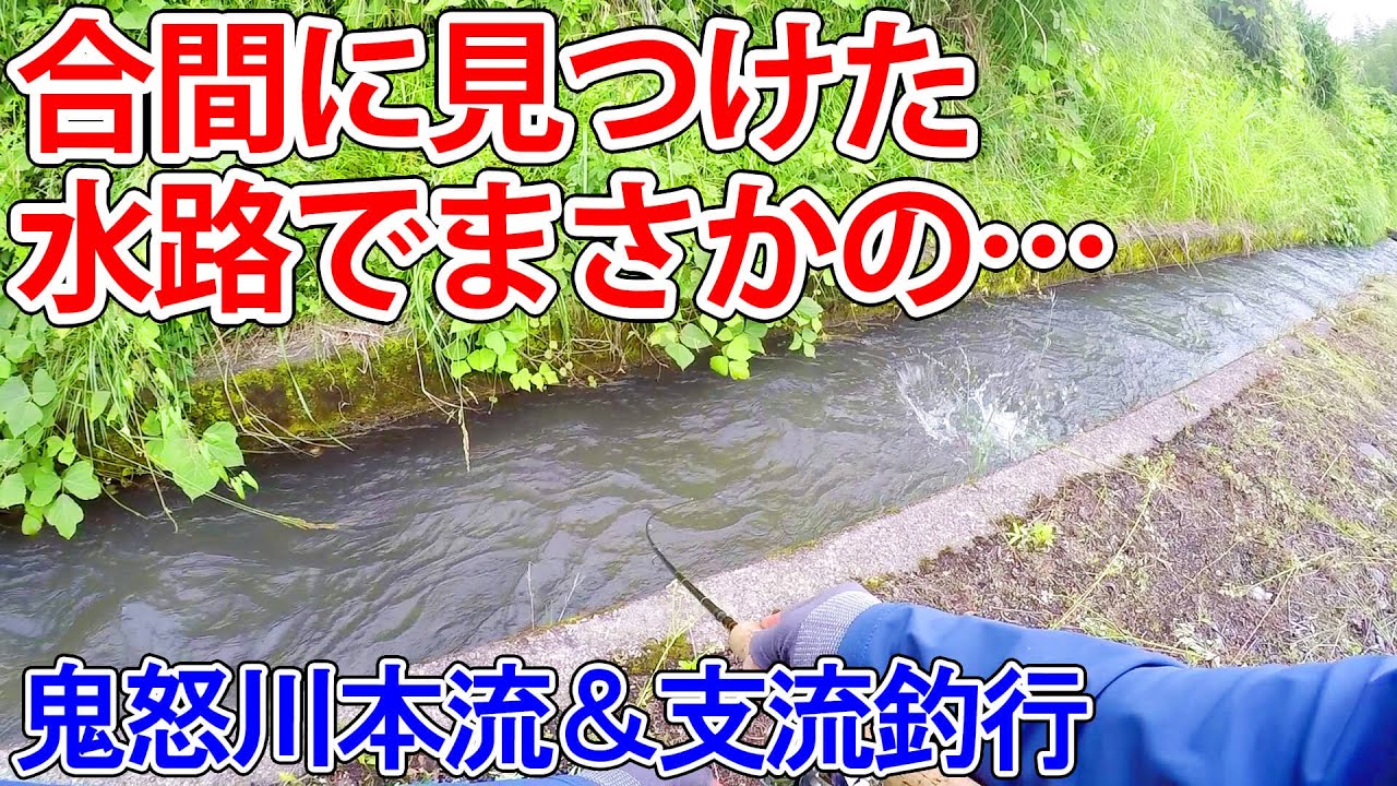 合間に見つけた水路でまさかの…【鬼怒川本流＆支流釣行】【渓流釣り】【本流ヤマメを求めて】