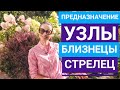 Предназначение. Узлы по оси Близнецы - Стрелец