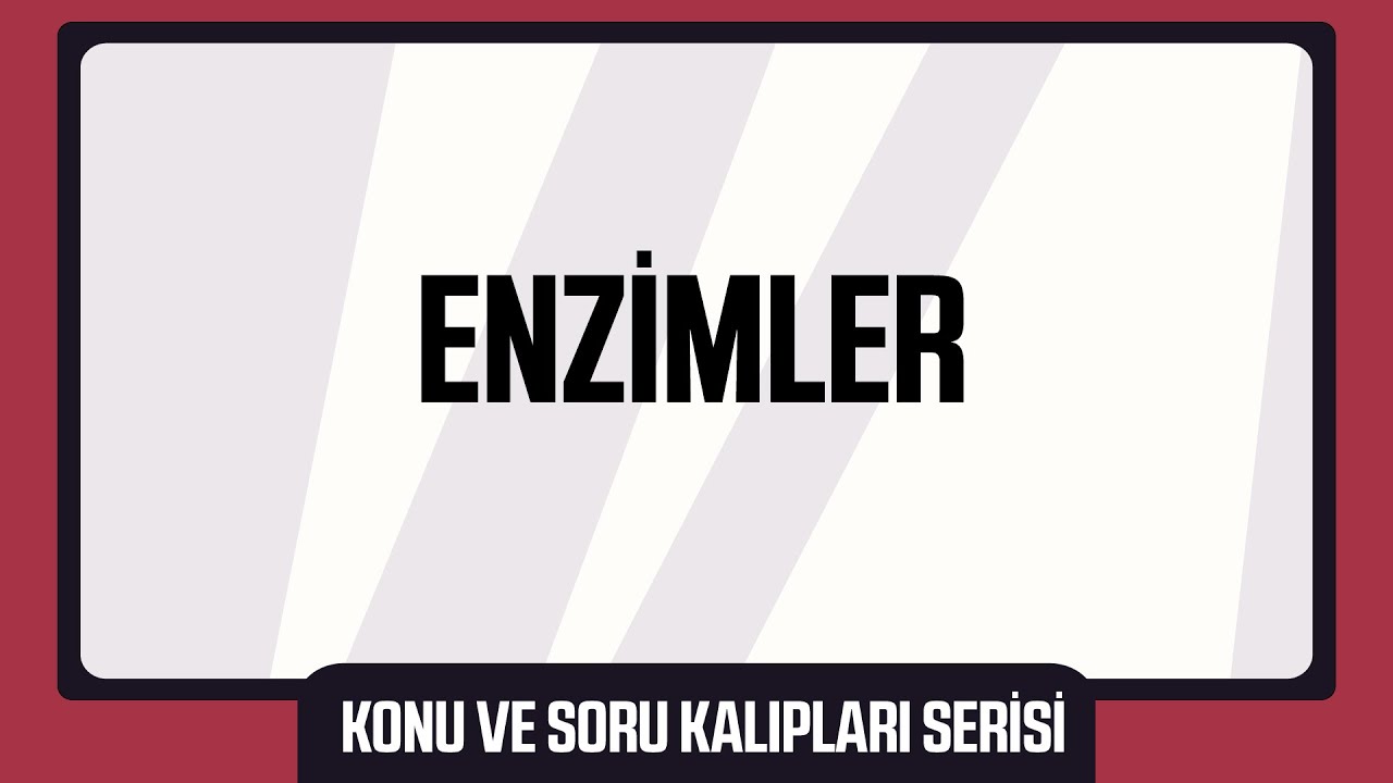 30 Dakikada Kalıp Sorularıyla ENZİMLER