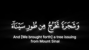 وشجرة تخرج من طور سيناء | القارئ محمد اللحيدان - سورة المؤمنون | كرومات قران شاشة سوداء