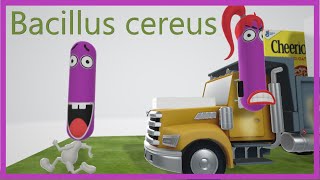 Bacillus cereus (Mnemonic)