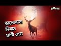 ভালোবাসা দিবসে প্রানী প্রেম।Animal love on Valentine's Day