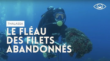 [ACTU] Que deviennent les filets de pêche abandonnés en mer ? Thalassa
