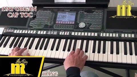 Học Đàn Organ Cấp Tốc TPHCM - TÌNH ĐỜI - Trung Tâm Nhạc Rừng