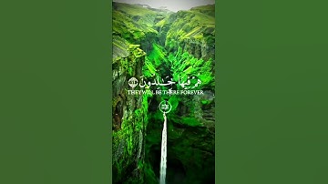 همسات من نور القرآن الكريم ✨تدبر، تلاوة، وراحة للقلب 🤍🌿 Quranic Whispers#اسلام #قران_كريم # #quran