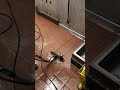 Commercial Kitchen Cleaning CFA 6
