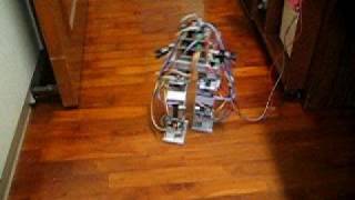 DIY Bipedal Robot Test 11 - Fast Walking @ 0.55 sec per step