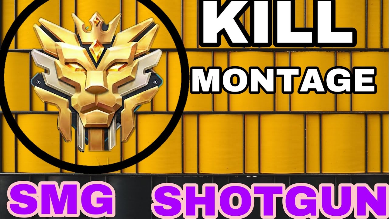 ROS: SG x SMG Montage