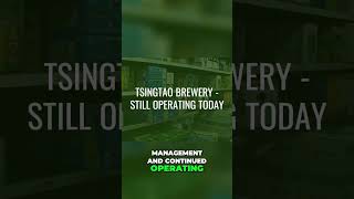 Tsingtao Beer's Untold Story: From Siege to Supermarket! #shorts