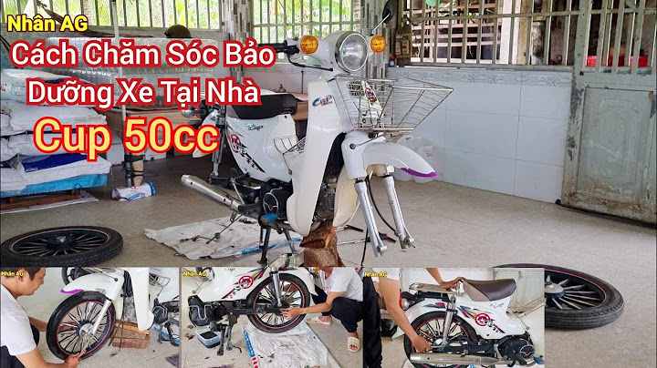 Cup 50 bị bể đèn nhanh thay bao nhiêu tiền năm 2024