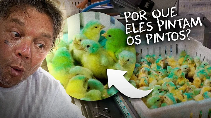 UMA FBRICA DE PINTINHOS, SO MILHES POR DIA! | RICH...
