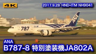 ANA B787-8特別塗装機JA802A フェリーフライト 大阪国際空港(伊丹空港
