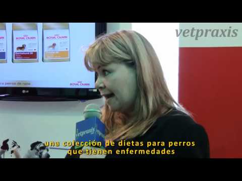 Royal Canin: Soluciones Nutricionales -- Dra. Denise Elliot