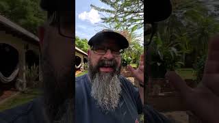 Is GoPro the Best Shorts Vlogger Camera