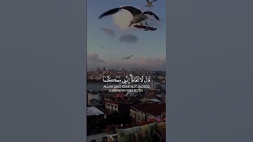 تلاوة هادئة تريح الأعصاب 💚 قرآن كريم 💚 بصوت جميل 💚 تلاوة عطرة 🌌