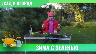 Зима с зеленью / ТЕО ТВ 12+