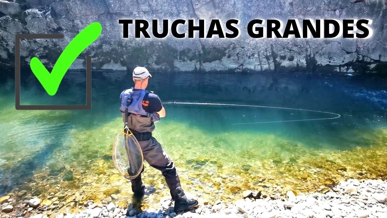 Pescando TRUCHAS de gran tamaño