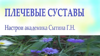 Плечевые суставы Настрой для женщин