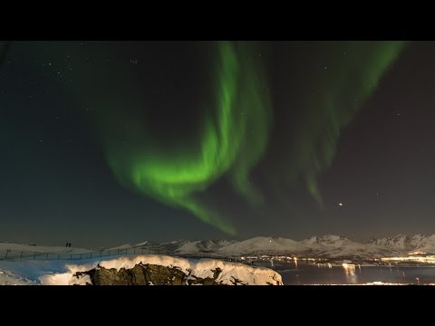 Northern lights tromsø forecast