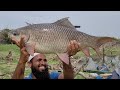 Unbelievable Fishing|Fisher Man Catching The Big Rohu Fish In Krishna River|Big Rohu Fishing|Fishing