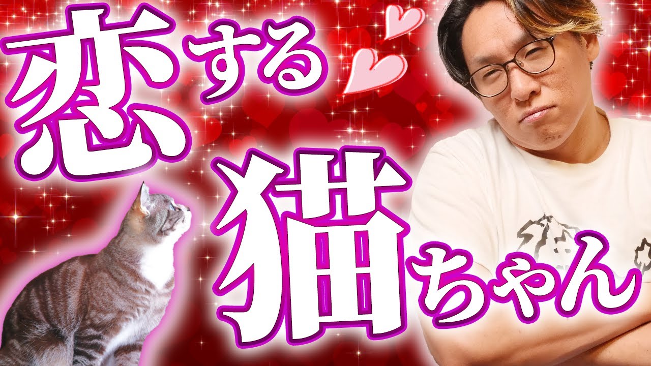 【動物と話す】いまだに忘れられないお話。