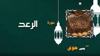 القران الكريم بصوت الشيخ يحيى حوى | سورة الرعد