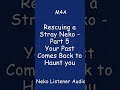 M4A | Rescuing a Stray Neko | Your Past Comes Back to Haunt you | Neko Listener Audio
