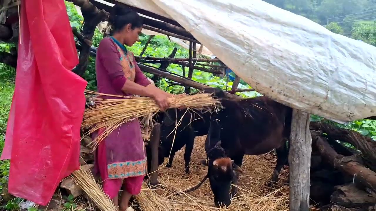  Peaceful & Relaxing Mountain VillageMost Lifestyle | Shepherd Food | All Season Compilation Video