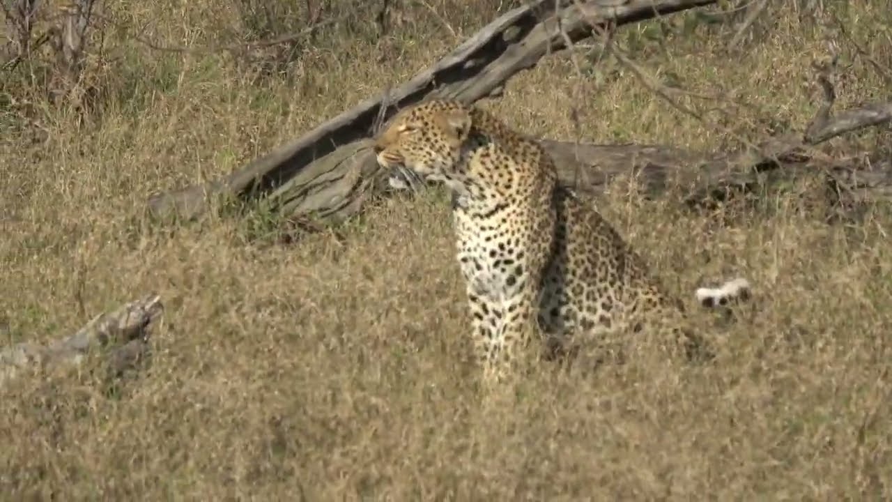 Kruger  Park July/August 2022 (part1)