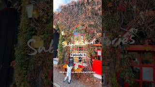 Suburb Stories EP. 06 — Bowral 🍂